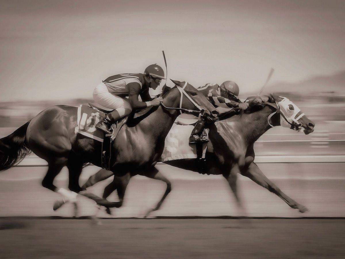 The Plaza Hotel Pioneer Park El Paso Exteriör bild Thoroughbred horses racing